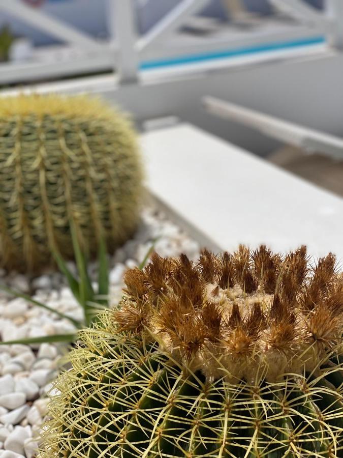 Flower Beach Deluxe ปลายาออนดา ภายนอก รูปภาพ